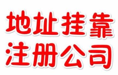 代理記賬一年800元，記賬會(huì)計(jì)代理